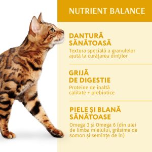 OPTIMEAL, Pui, hrană uscată pisici, 10kg - imagine 3