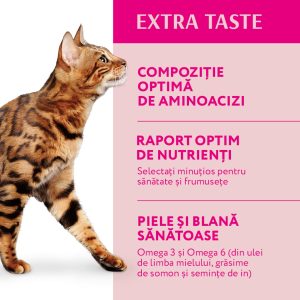 OPTIMEAL, Vită, hrană uscată pisici, 10kg - imagine 4