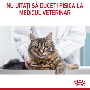 Royal Canin Appetite Control Care, hrană uscată pisici, adult sterilizat, reglarea apetitului ROYAL CANIN Feline Care Nutrition Appetite Control Care, hrană uscată pisici, managementul greutății, 10kg - imagine 4