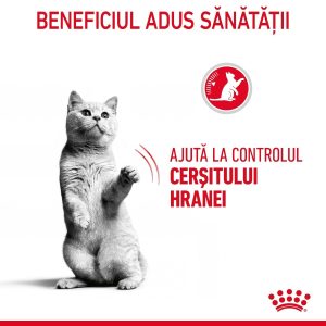 Royal Canin Appetite Control Care, hrană uscată pisici, adult sterilizat, reglarea apetitului ROYAL CANIN Feline Care Nutrition Appetite Control Care, hrană uscată pisici, managementul greutății, 10kg - imagine 9