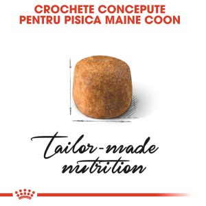 Royal Canin Maine Coon Adult, hrană uscată pisici, 10kg - imagine 5