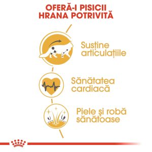 Royal Canin Maine Coon Adult, hrană uscată pisici, 10kg - imagine 4