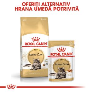 Royal Canin Maine Coon Adult, hrană uscată pisici, 10kg - imagine 7