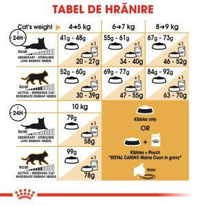 Royal Canin Maine Coon Adult, hrană uscată pisici, 10kg - imagine 3
