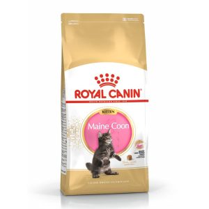 Royal Canin Maine Coon Kitten, hrană uscată pisici junior, 10kg - imagine 3