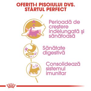 Royal Canin Maine Coon Kitten, hrană uscată pisici junior, 10kg - imagine 6