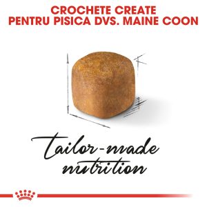 Royal Canin Maine Coon Kitten, hrană uscată pisici junior, 10kg - imagine 2