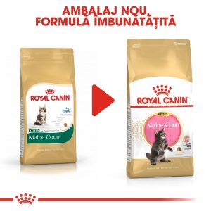 Royal Canin Maine Coon Kitten, hrană uscată pisici junior, 10kg - imagine 4