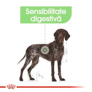 ROYAL CANIN Maxi Digestive Care, hrană uscată câini, confort digestiv, 12kg - imagine 4