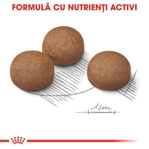 ROYAL CANIN Maxi Digestive Care, hrană uscată câini, confort digestiv, 12kg - imagine 8