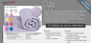 cover pilote belina somnart.jpg