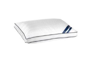 hollow removebg preview.jpg