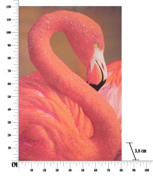 Tablou decorativ Flamingo -A, Mauro Ferretti, 80x120 cm, canvas, multicolor - imagine 7