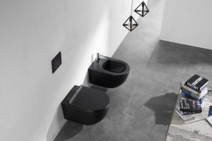 set vas wc suspendat fluminia minerva cu capac quick release si soft30021.jpg