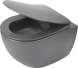 set vas wc suspendat rimless cu capac soft close gri deante poenia 620078.jpg