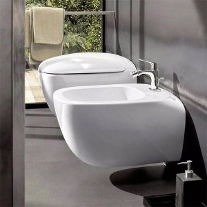 vas wc suspendat geberit citterio rimfree alb14147.jpg