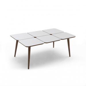 masuta de cafea petek 4564 4634.jpg