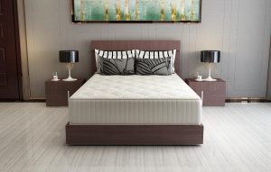 Evolution Pocket Spring Horeca 3.jpg