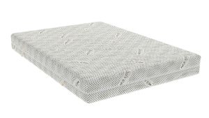 SilverForte1.jpg