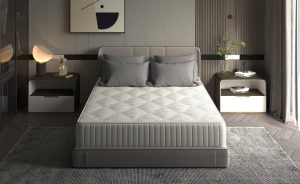 SilverRelax5.jpg